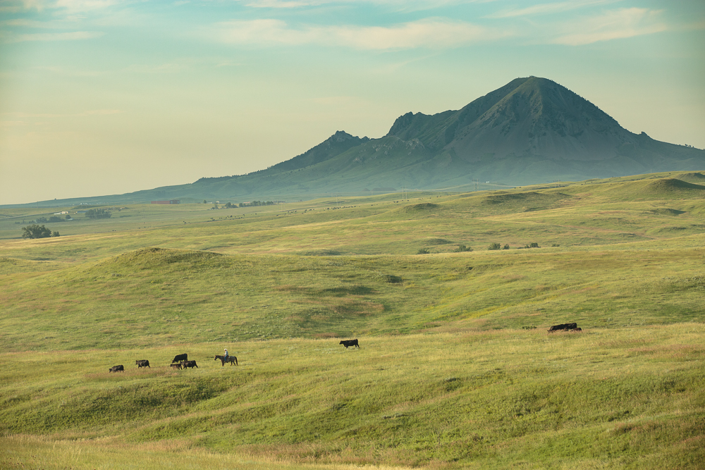Bear Butte at the ranch