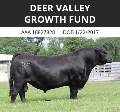 Deer Valley Growth Fund sire