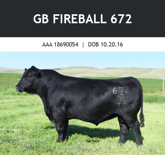 Fireball bull