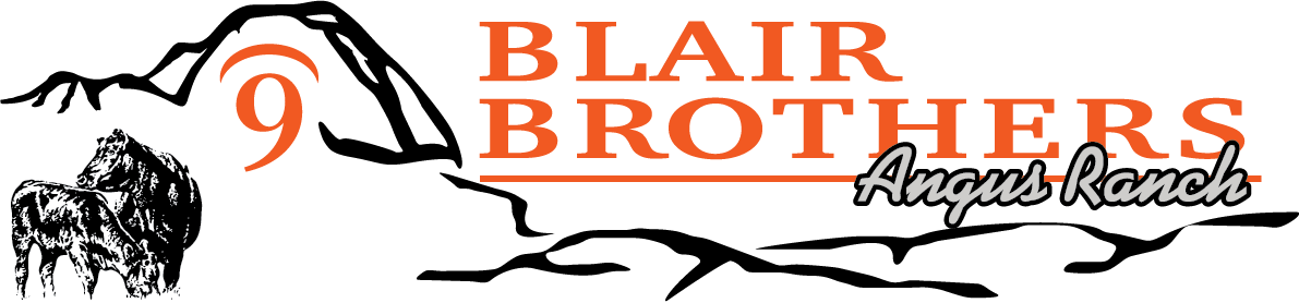 Blair Brothers logo